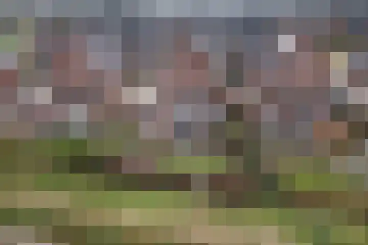Ruiterpad 27 Den Dungen thumbnail 40