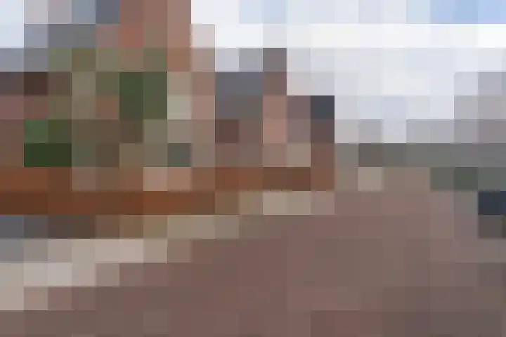 Ruiterpad 27 Den Dungen thumbnail 44