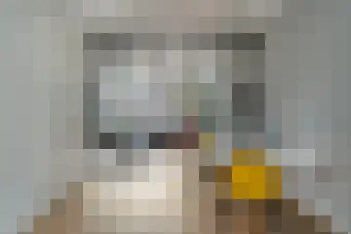 Ruiterpad 27 Den Dungen thumbnail 6