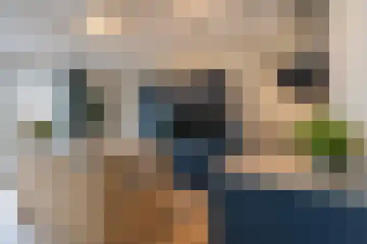 Ruiterpad 27 Den Dungen thumbnail 9