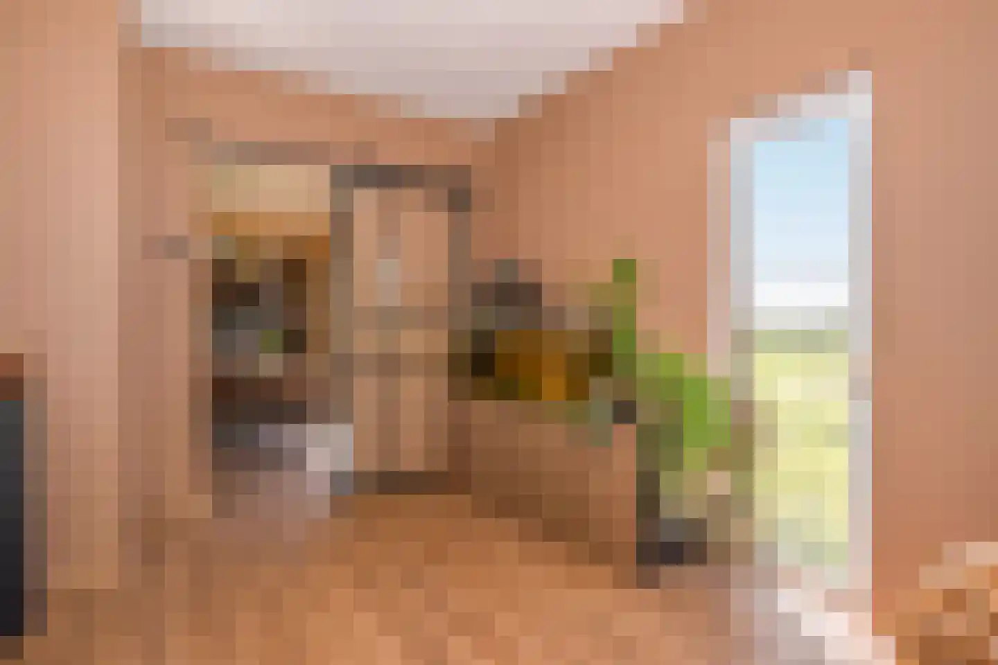 Ruitersbaan 15 Roosteren thumbnail 18