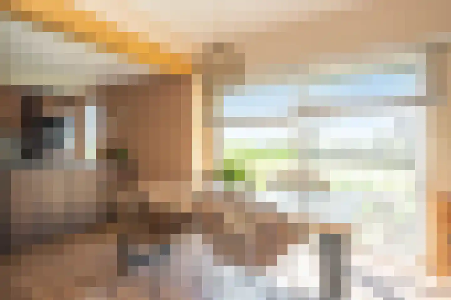 Ruitersbaan 15 Roosteren thumbnail 21