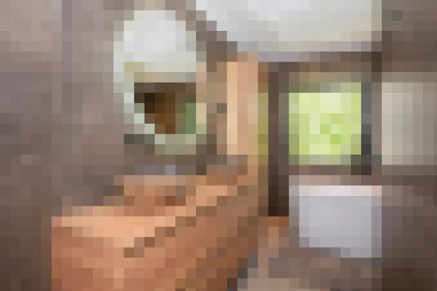 Ruitersbaan 15 Roosteren thumbnail 35