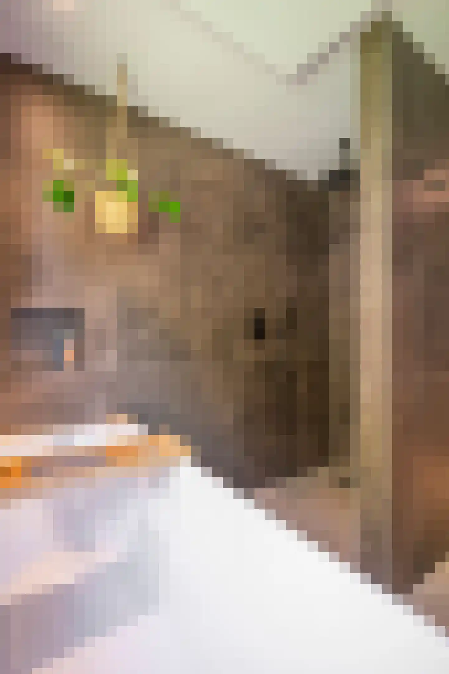 Ruitersbaan 15 Roosteren thumbnail 38