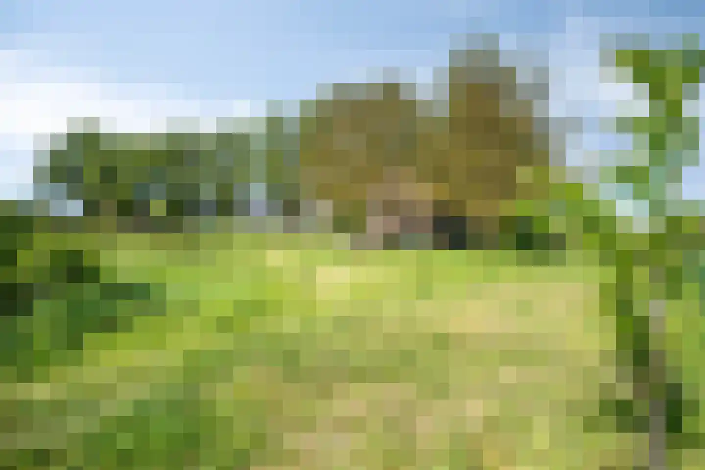 Ruitersbaan 15 Roosteren thumbnail 4