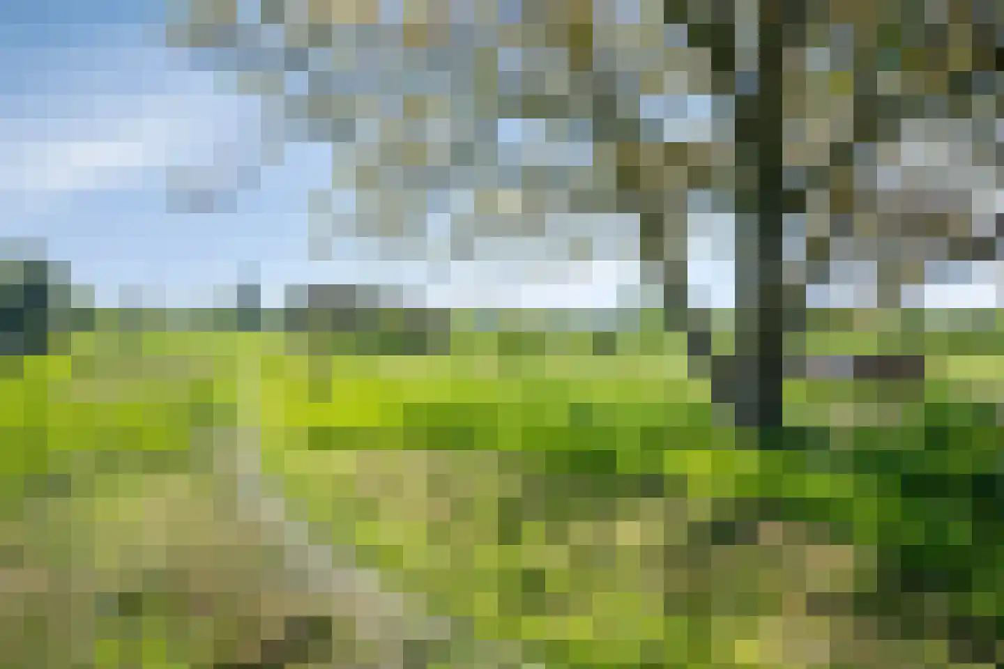 Ruitersbaan 15 Roosteren thumbnail 41