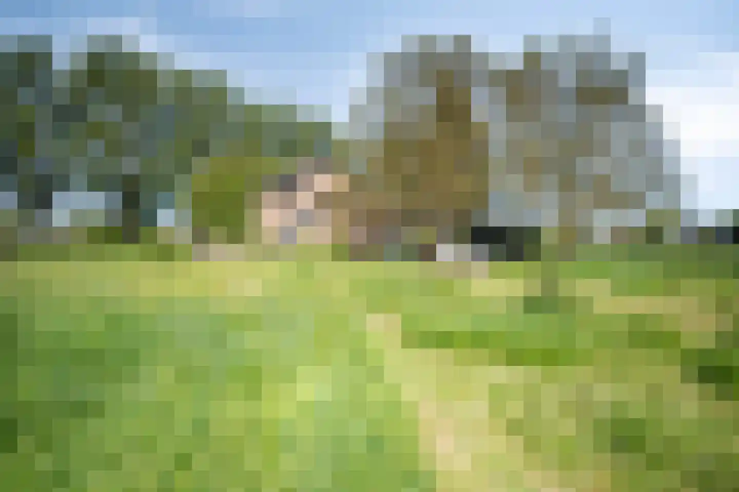Ruitersbaan 15 Roosteren thumbnail 43