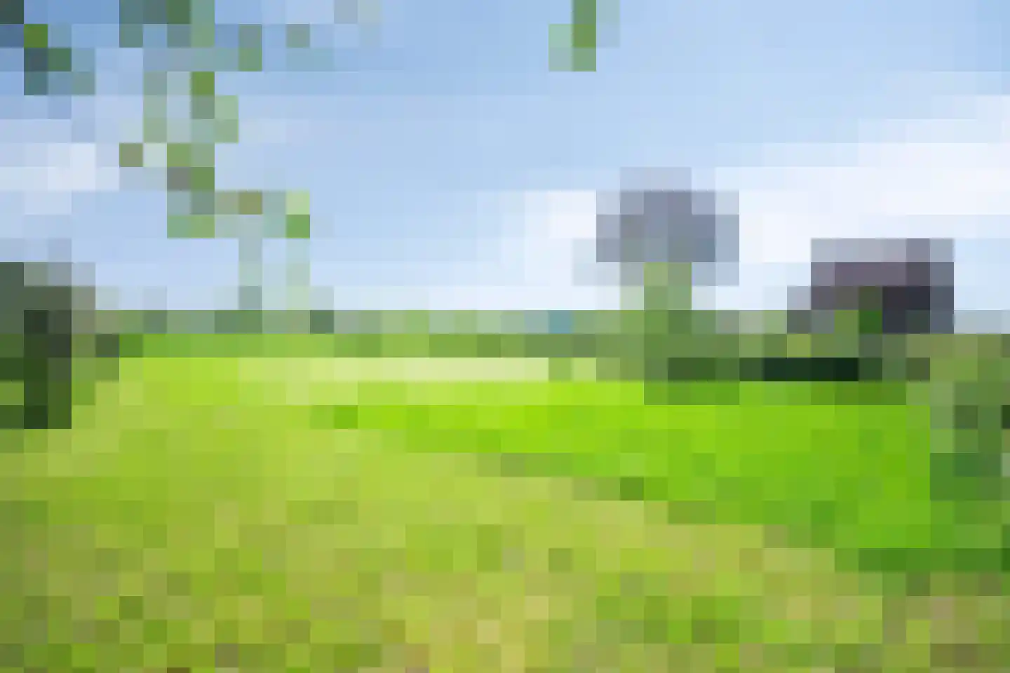 Ruitersbaan 15 Roosteren thumbnail 46