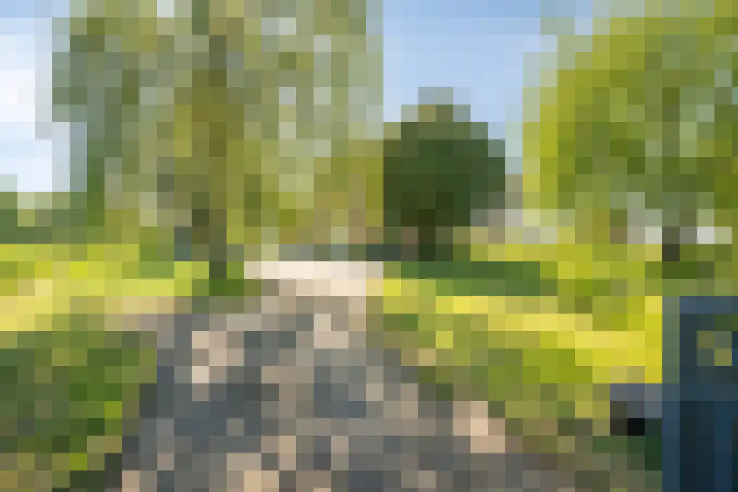 Ruitersbaan 15 Roosteren thumbnail 8