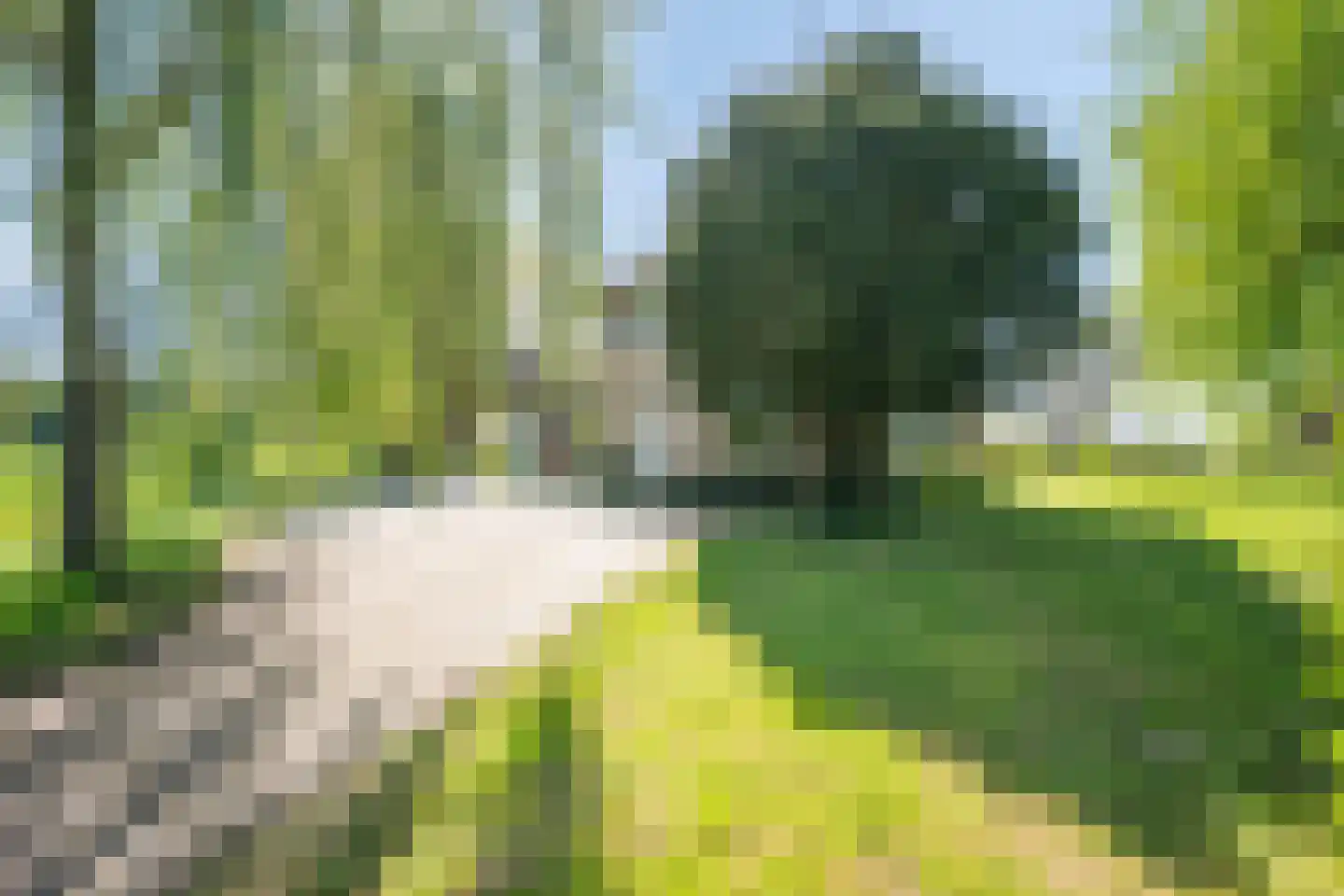 Ruitersbaan 15 Roosteren thumbnail 9