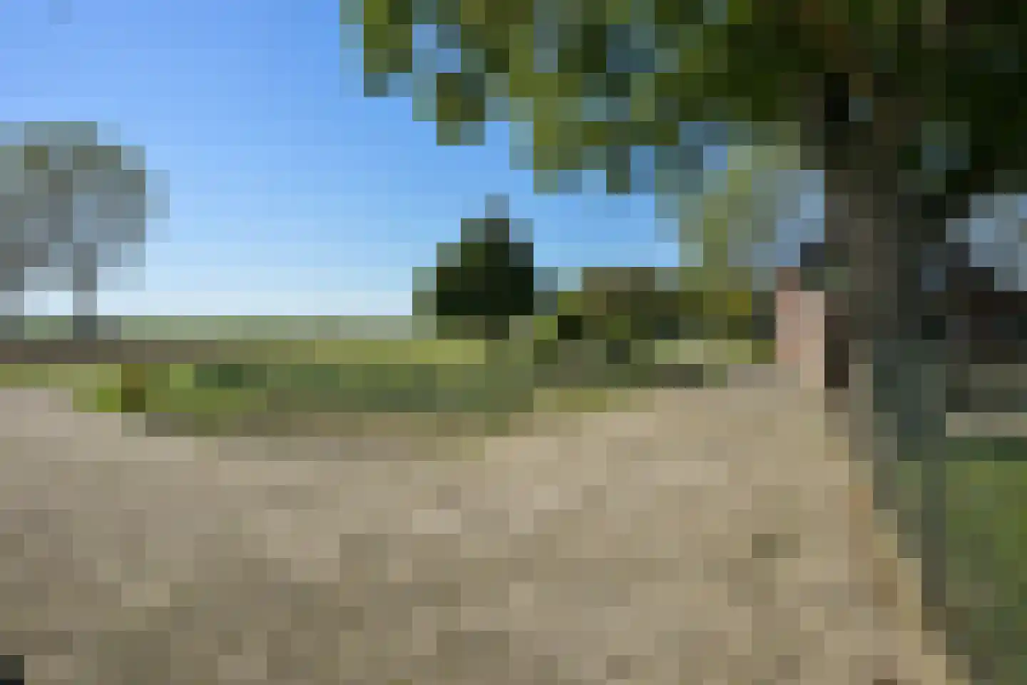 Ruitersbaan 21 Roosteren thumbnail 23