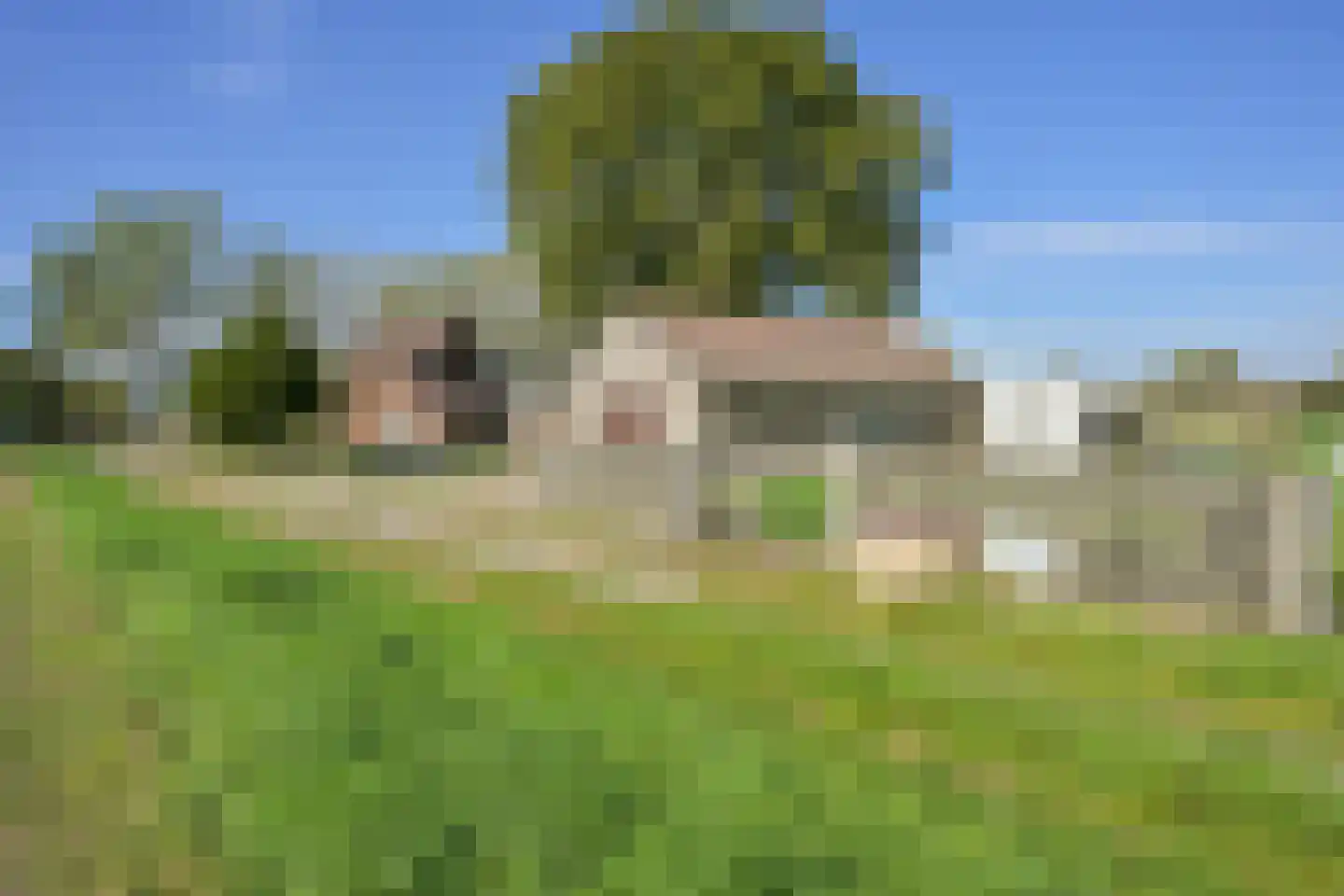 Ruitersbaan 21 Roosteren thumbnail 25