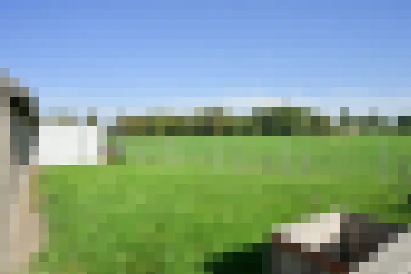 Ruitersbaan 21 Roosteren thumbnail 26