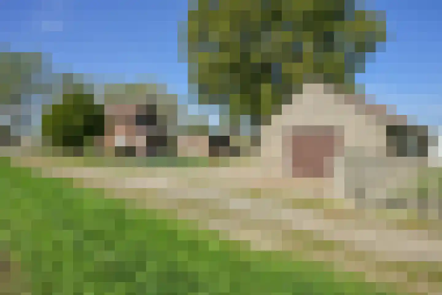 Ruitersbaan 21 Roosteren thumbnail 4