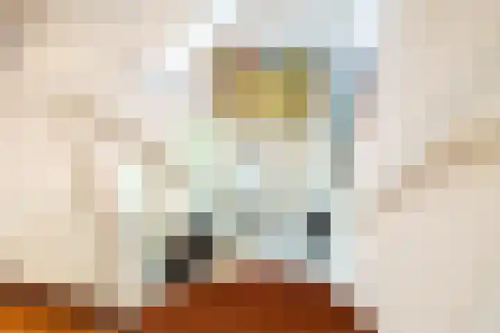 Ruitersboslaan 31 Breda thumbnail 21