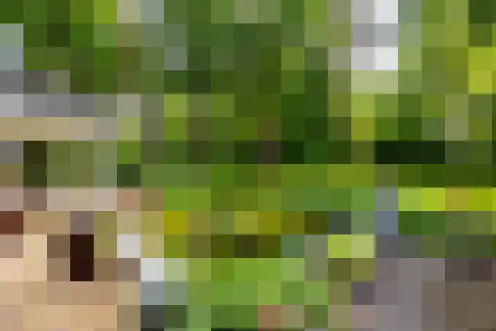Ruitersboslaan 31 Breda thumbnail 30