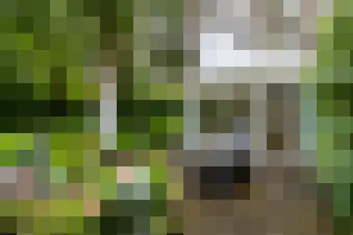 Ruitersboslaan 31 Breda thumbnail 31