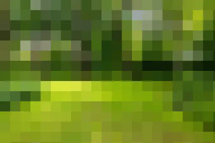 Ruitersboslaan 31 Breda thumbnail 32