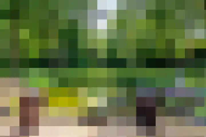 Ruitersboslaan 31 Breda thumbnail 33