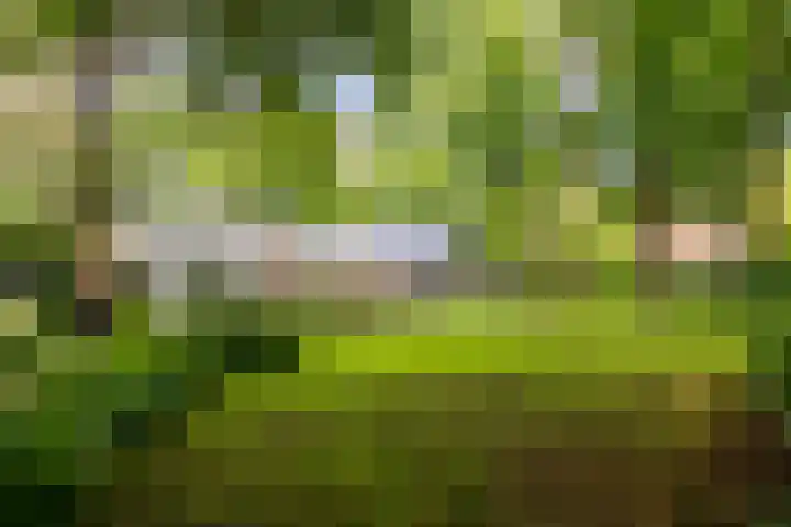 Ruitersboslaan 31 Breda thumbnail 34