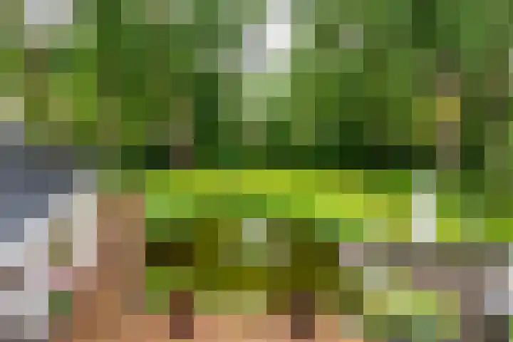 Ruitersboslaan 31 Breda thumbnail 35