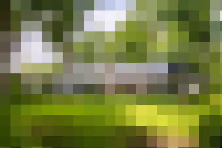Ruitersboslaan 31 Breda thumbnail 36