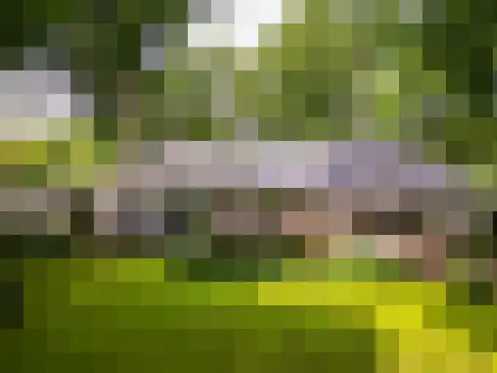Ruitersboslaan 31 Breda thumbnail 37