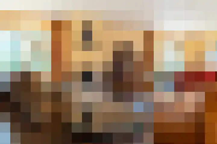 Ruitersboslaan 31 Breda thumbnail 6