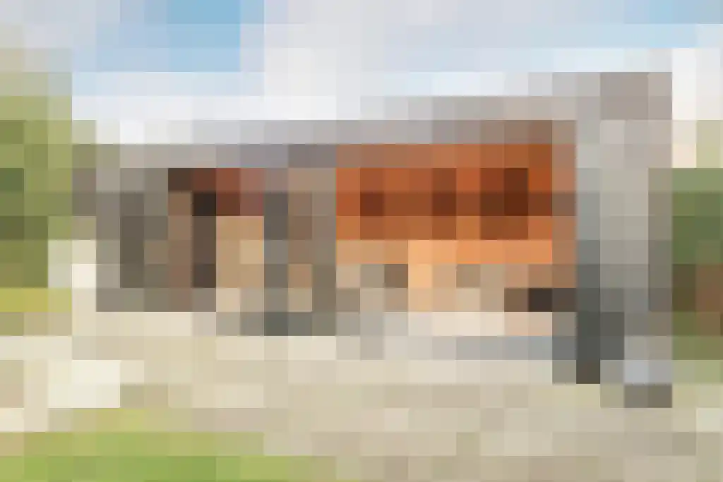 Ruitersboslaan 50 Breda thumbnail 39