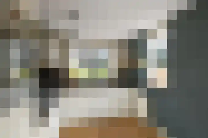 Ruiterskamp 10 Elst thumbnail 13