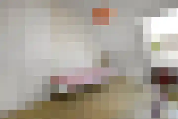 Ruiterskamp 10 Elst thumbnail 19