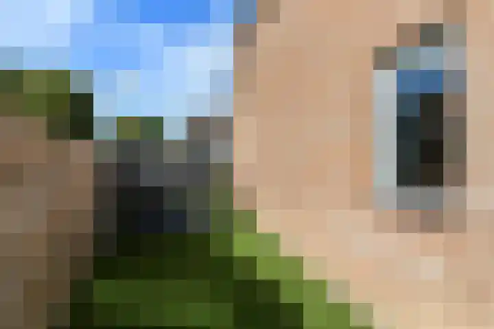 Ruiterskamp 10 Elst thumbnail 30