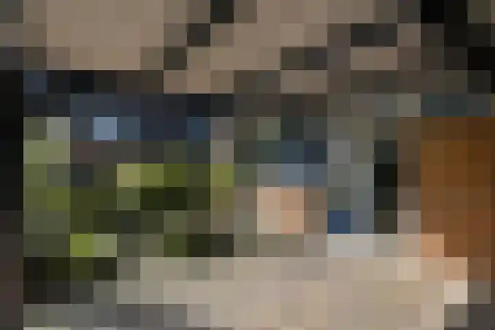 Ruiterskamp 10 Elst thumbnail 5