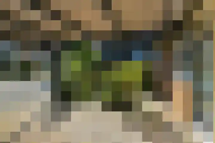 Ruiterskamp 10 Elst thumbnail 6