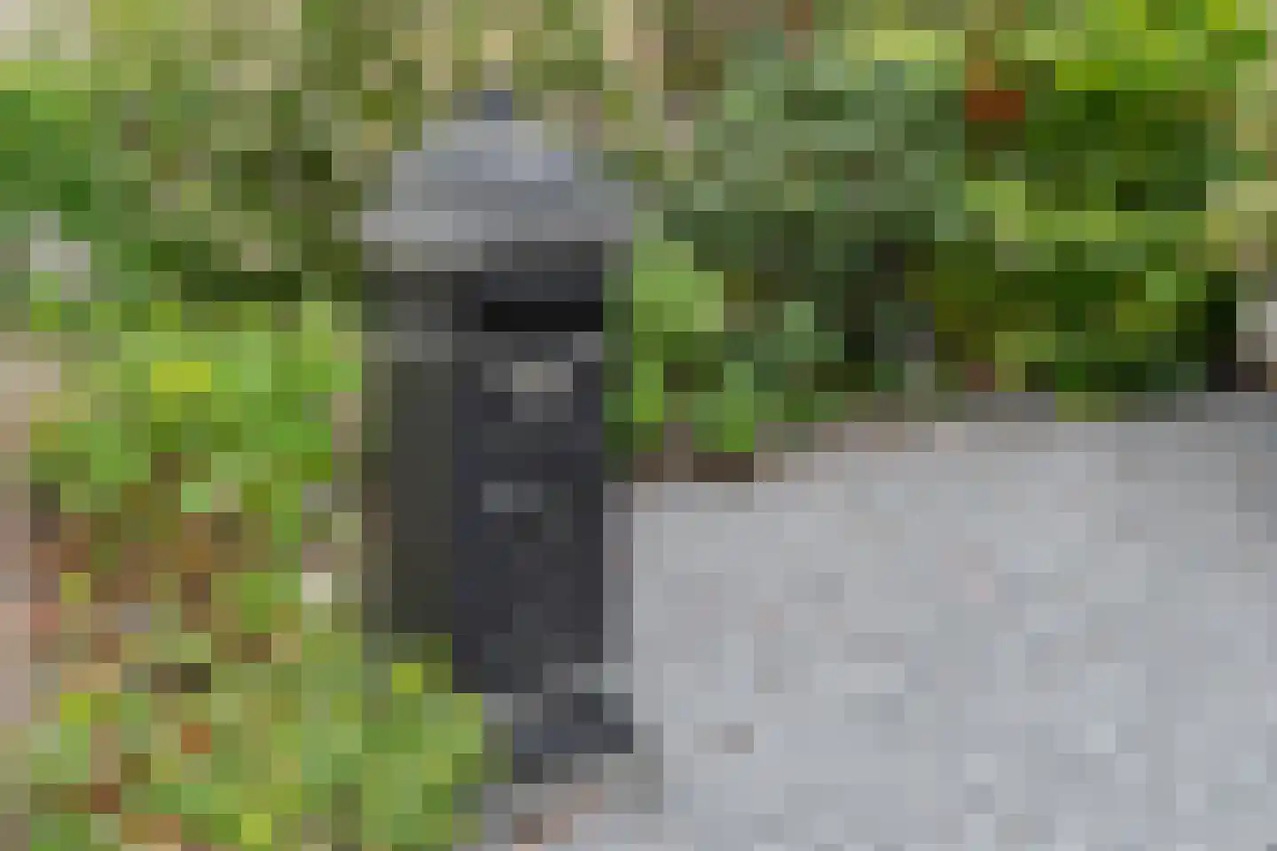 Ruiterskamp 14 Eemnes thumbnail 4