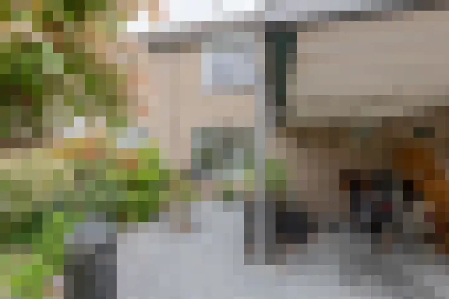 Ruiterskamp 14 Eemnes thumbnail 5