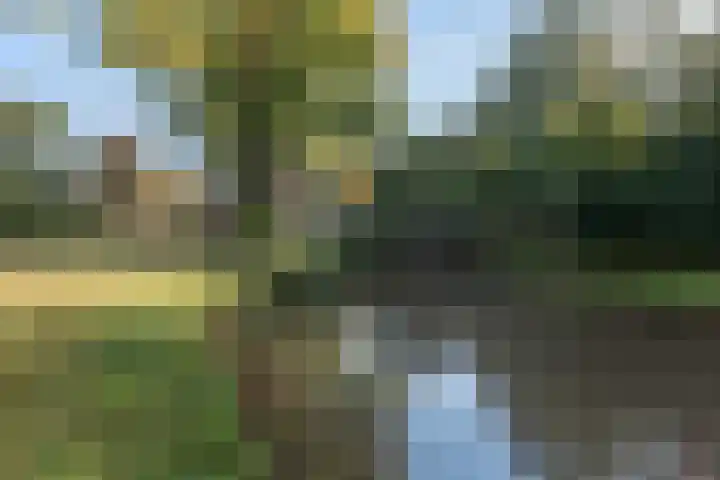 Ruiterskamp 4 Eemnes thumbnail 49