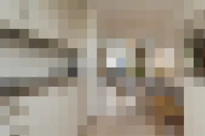 Ruiterskamp 52 Elst thumbnail 10