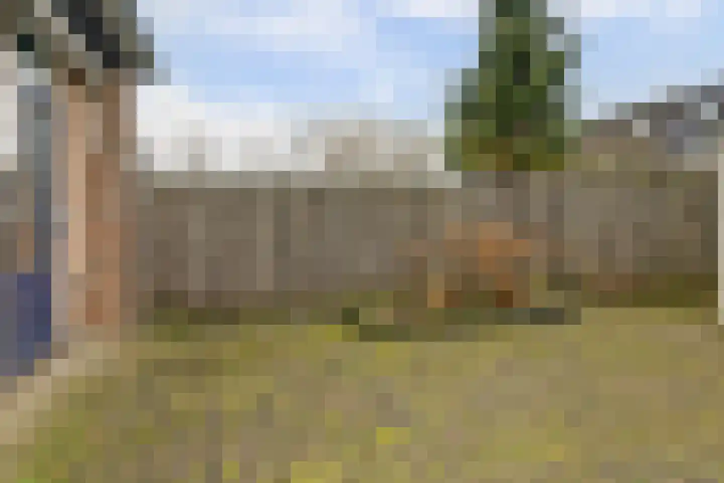 Ruiterskamp 52 Elst thumbnail 23