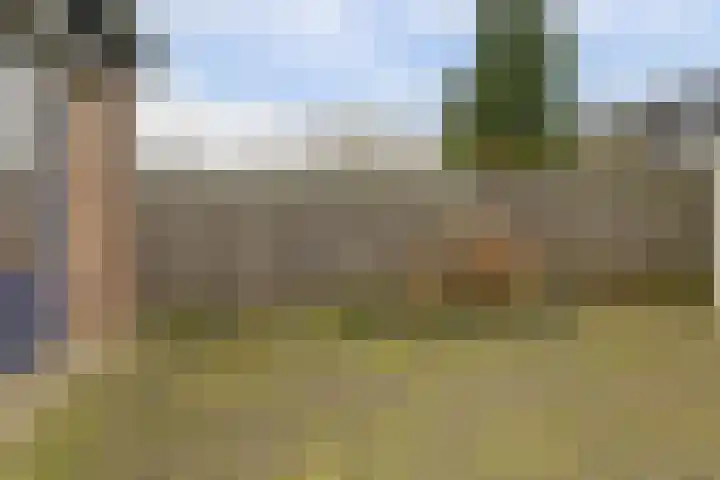 Ruiterskamp 52 Elst thumbnail 23