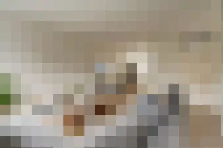 Ruiterskamp 52 Elst thumbnail 6