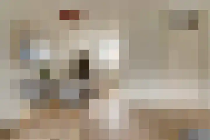 Ruiterskamp 52 Elst thumbnail 9