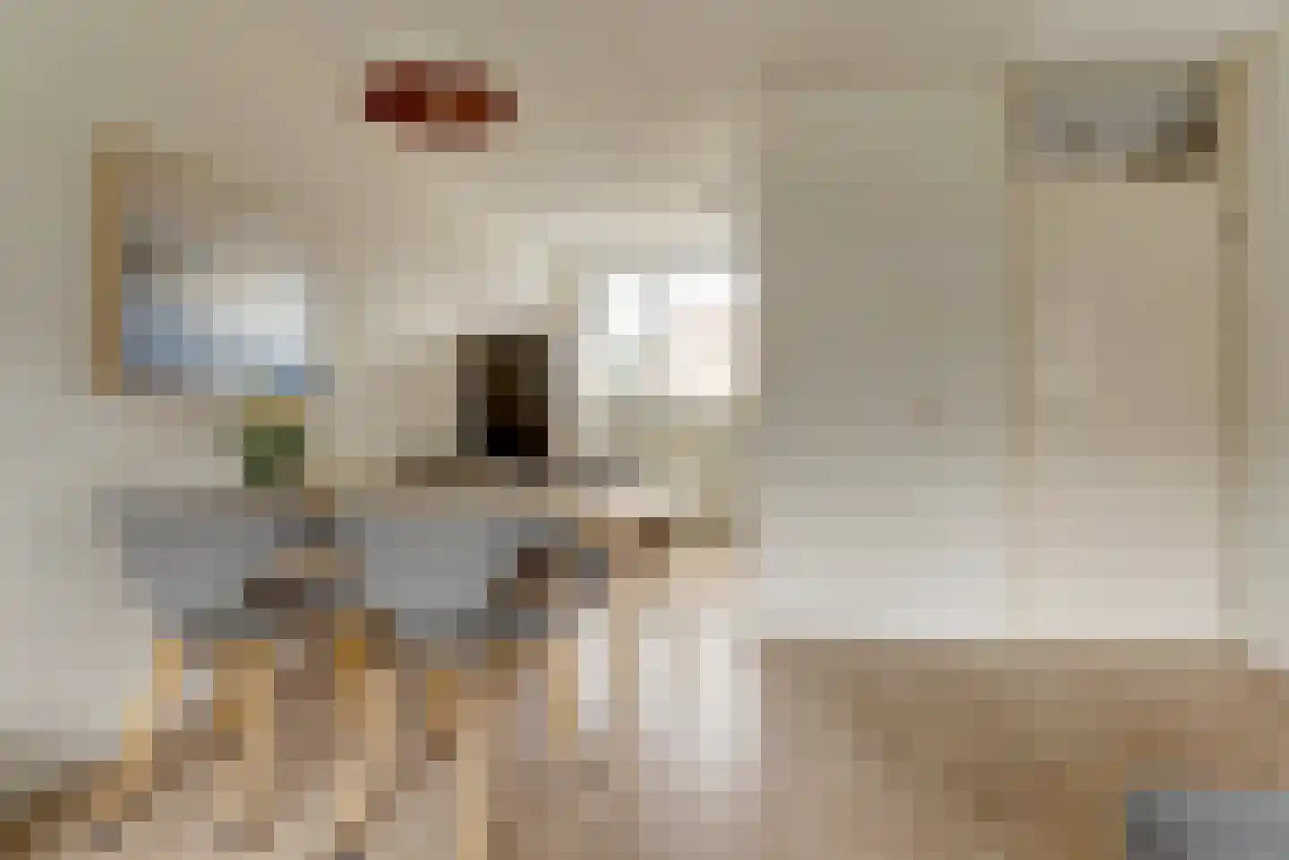 Ruiterskamp 52 Elst thumbnail 9