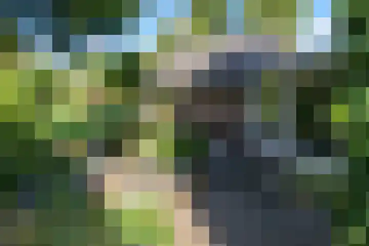 Ruitersmolenweg 35 Beekbergen thumbnail 42
