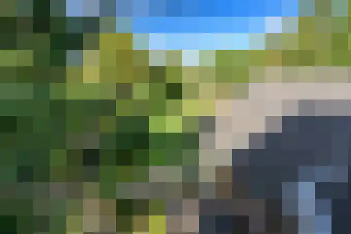 Ruitersmolenweg 35 Beekbergen thumbnail 43