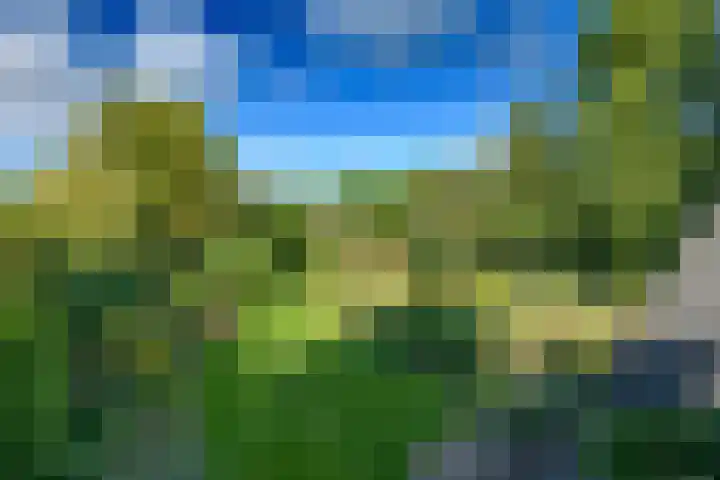 Ruitersmolenweg 35 Beekbergen thumbnail 44