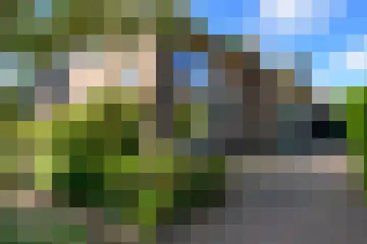 Ruitersmolenweg 35 Beekbergen thumbnail 47