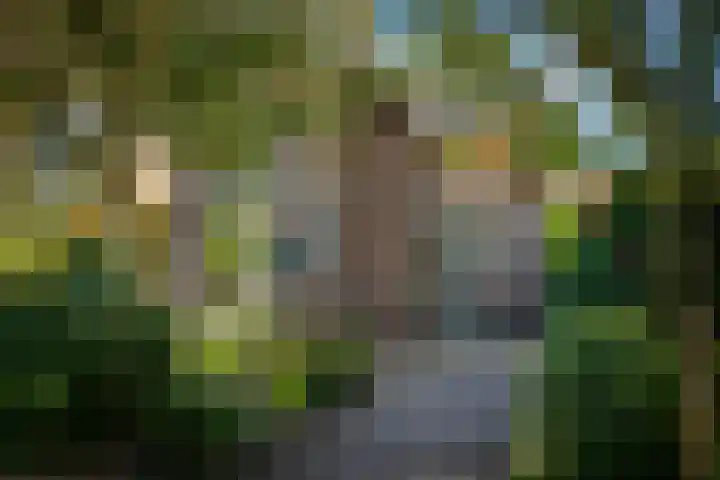 Ruitersmolenweg 35 Beekbergen thumbnail 50