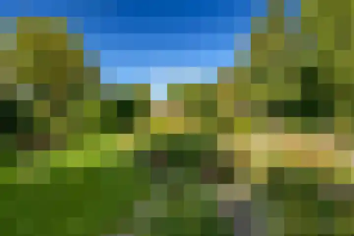 Ruitersmolenweg 35 Beekbergen thumbnail 56