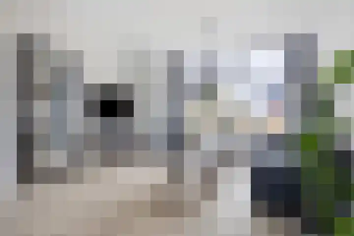 Ruiterspoor 37 Den Hout thumbnail 10